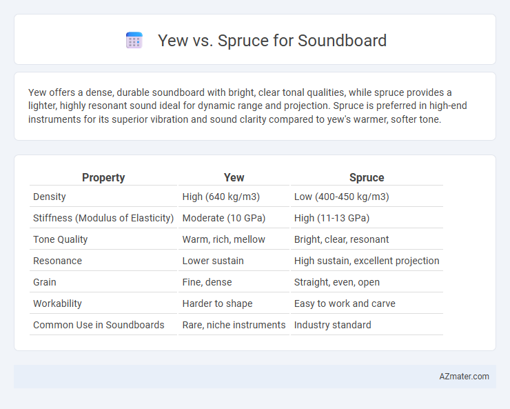 Yew vs. Spruce for Soundboard - What is The Difference?