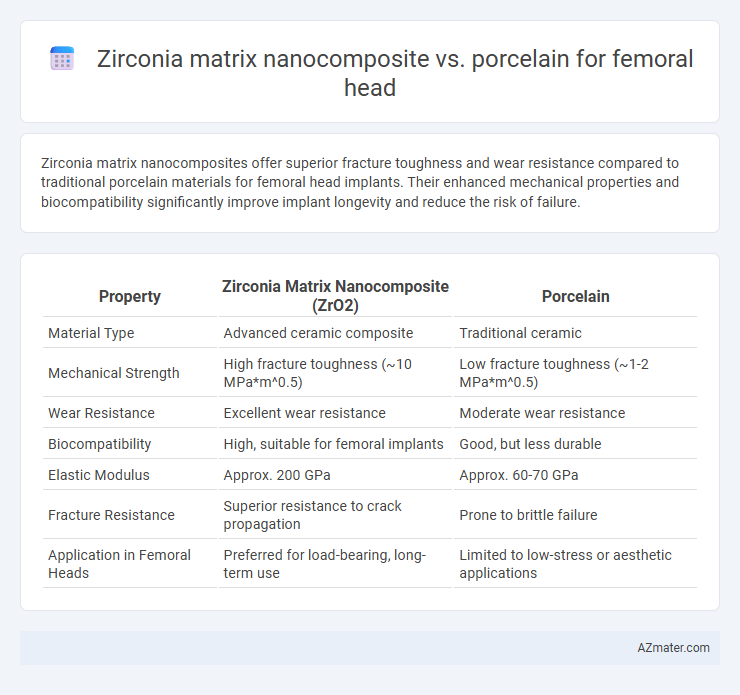 Zirconia matrix nanocomposite vs. porcelain for femoral head - What is The Difference?