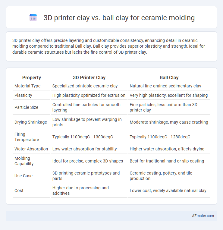 3D printer clay vs. ball clay for ceramic molding - What is The Difference?