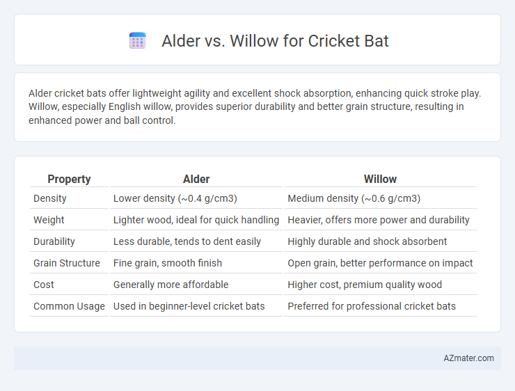 Alder vs. Willow for Cricket Bat - What is The Difference?