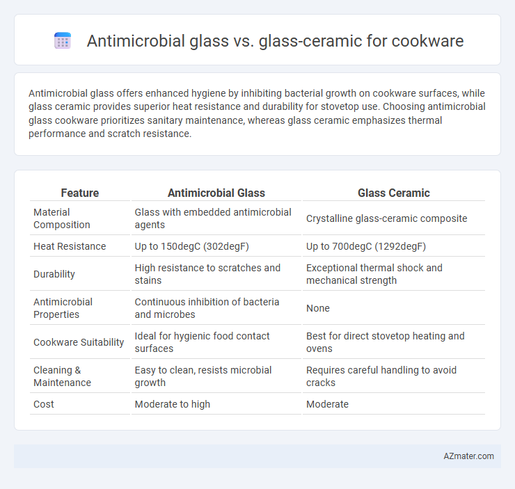 Antimicrobial glass vs. glass-ceramic for cookware - What is The Difference?