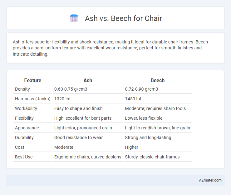 Ash vs. Beech for Chair - What is The Difference?