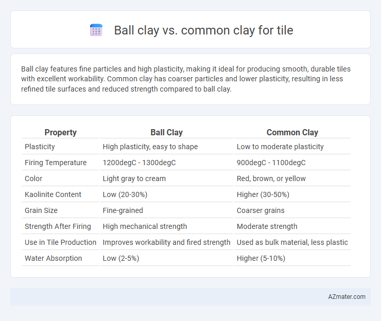 Ball clay vs. common clay for tile - What is The Difference?