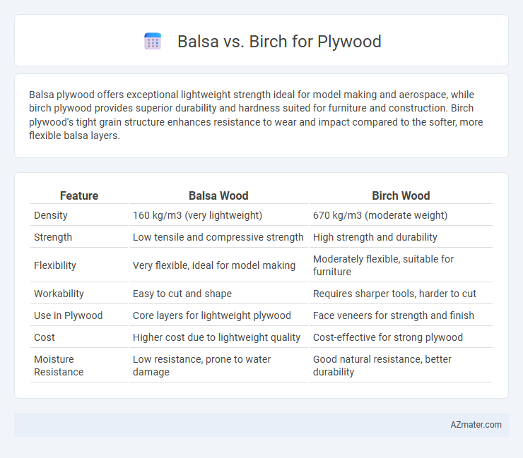 Balsa vs. Birch for Plywood - What is The Difference?