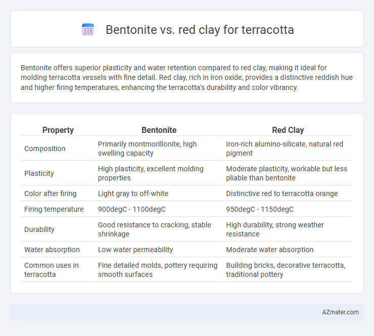Bentonite vs. red clay for terracotta - What is The Difference?