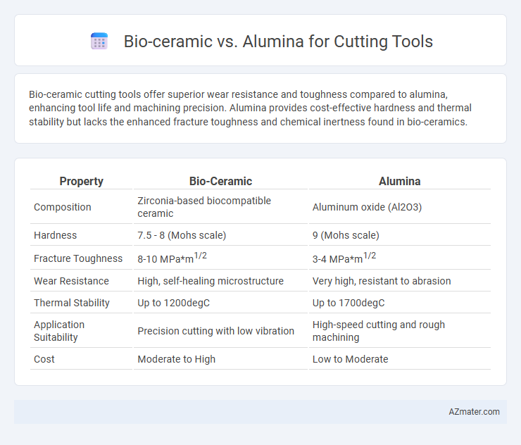 Bio-ceramic vs. Alumina for Cutting Tools - What is The Difference?