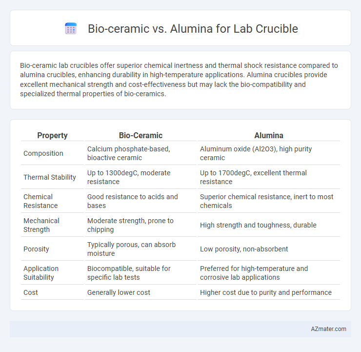 Bio-ceramic vs. Alumina for Lab Crucible - What is The Difference?