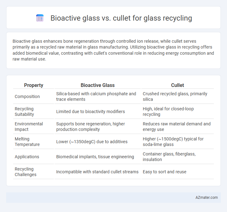 Bioactive glass vs. cullet for glass recycling - What is The Difference?