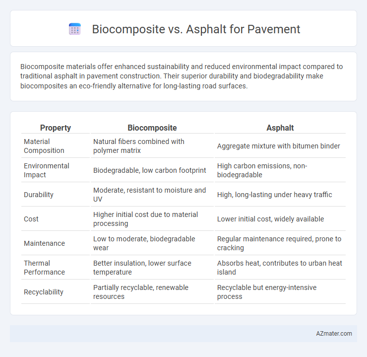 Biocomposite vs. Asphalt for Pavement - What is The Difference?