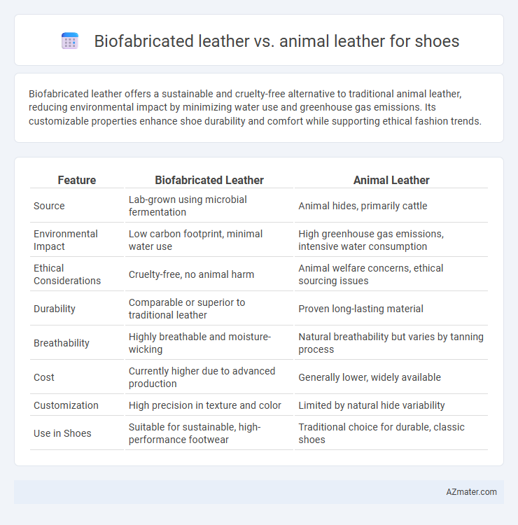 Biofabricated leather vs. animal leather for shoes - What is The Difference?