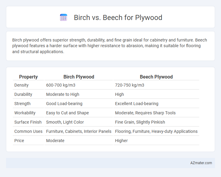 Birch vs. Beech for Plywood - What is The Difference?