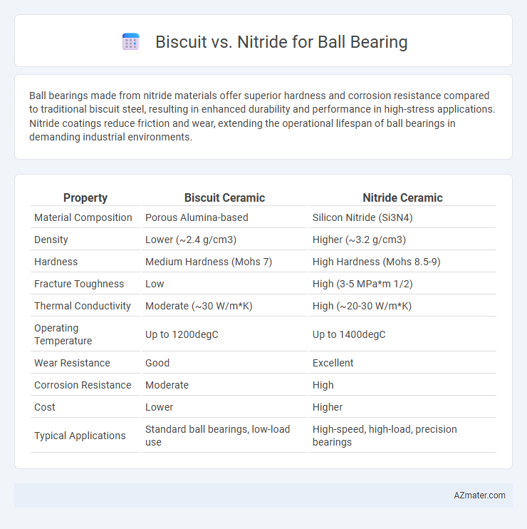 Biscuit vs. Nitride for Ball Bearing - What is The Difference?
