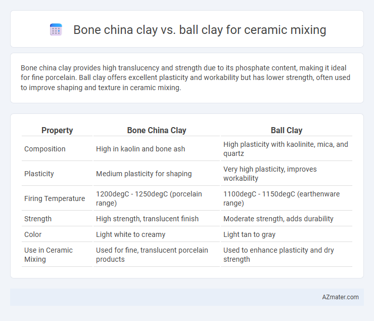 Bone china clay vs. ball clay for ceramic mixing - What is The Difference?