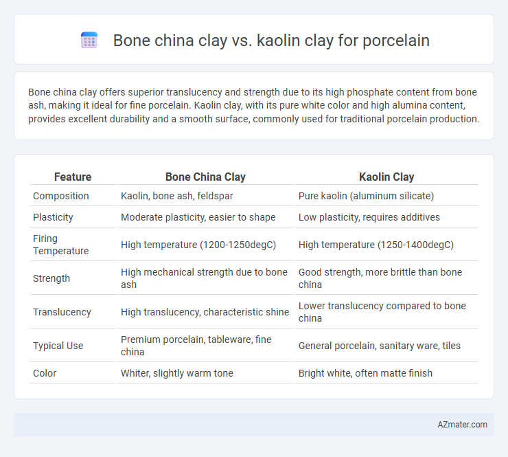 Bone china clay vs. kaolin clay for porcelain - What is The Difference?