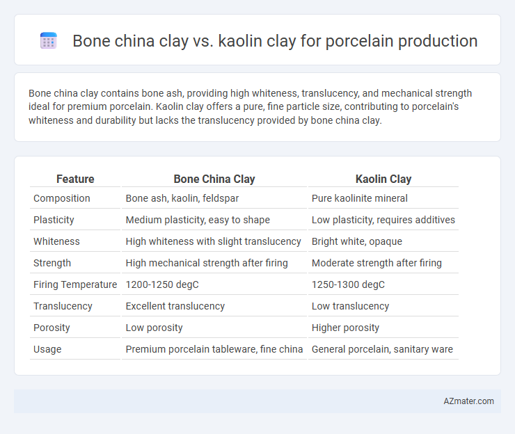 Bone china clay vs. kaolin clay for porcelain production - What is The Difference?