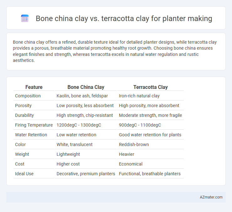 Bone china clay vs. terracotta clay for planter making - What is The Difference?