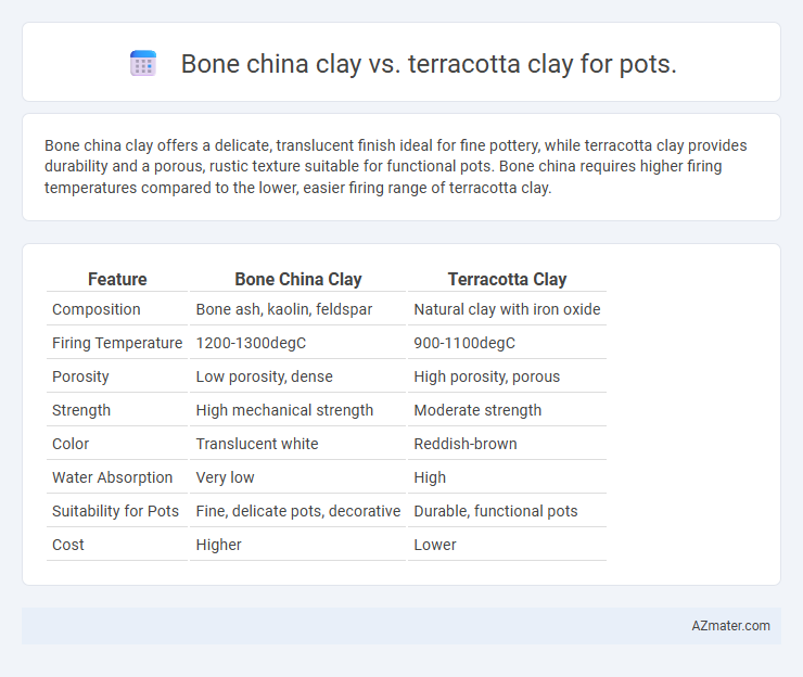 Bone china clay vs. terracotta clay for pots. - What is The Difference?