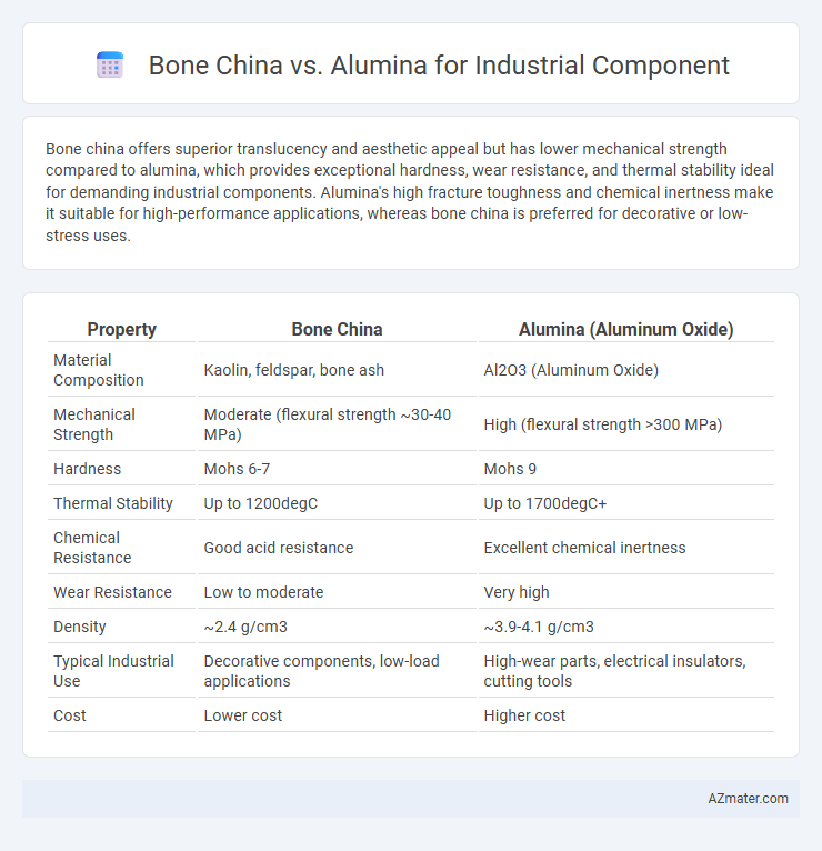 Bone China vs. Alumina for Industrial Component - What is The Difference?