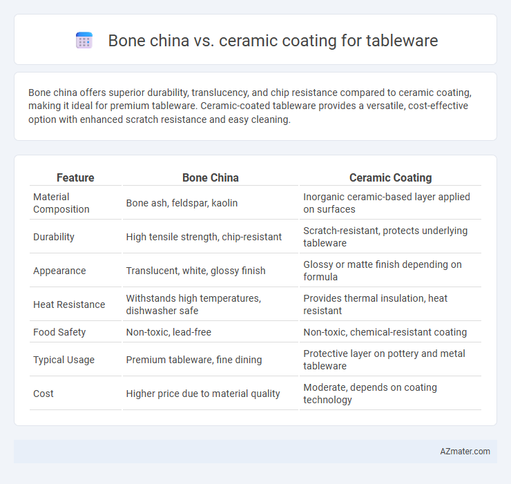Bone china vs. ceramic coating for tableware - What is The Difference?