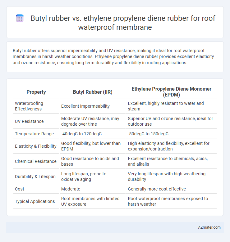 Butyl rubber vs. ethylene propylene diene rubber for roof waterproof membrane - What is The Difference?
