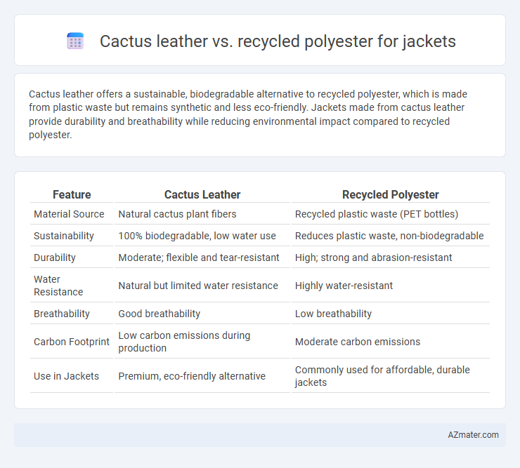 Cactus leather vs. recycled polyester for jackets - What is The Difference?