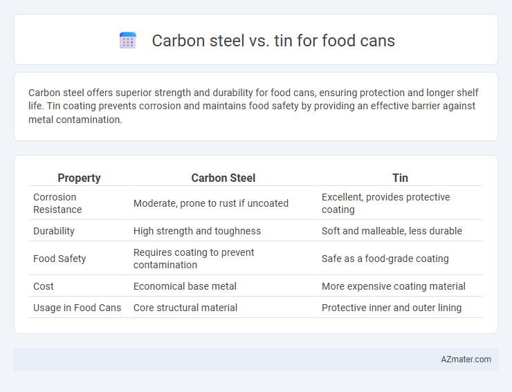 Carbon steel vs. tin for food cans - What is The Difference?