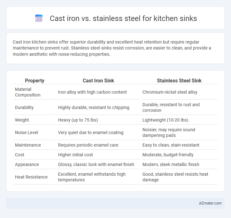 Cast iron vs. stainless steel for kitchen sinks - What is The Difference?