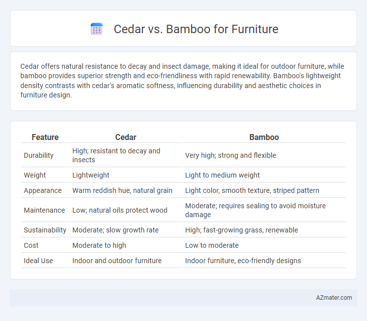 Cedar vs. Bamboo for Furniture - What is The Difference?