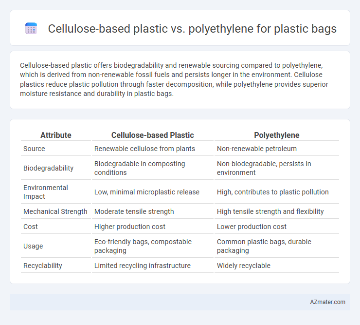 Cellulose-based plastic vs. polyethylene for plastic bags - What is The Difference?