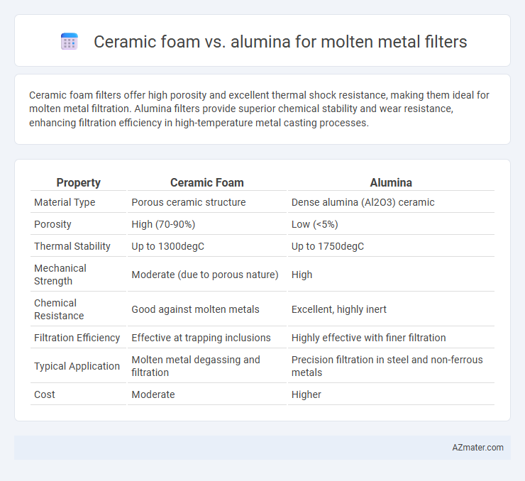 Ceramic foam vs. alumina for molten metal filters - What is The Difference?