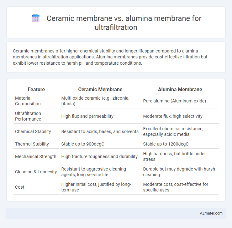 Ceramic membrane vs. alumina membrane for ultrafiltration - What is The Difference?