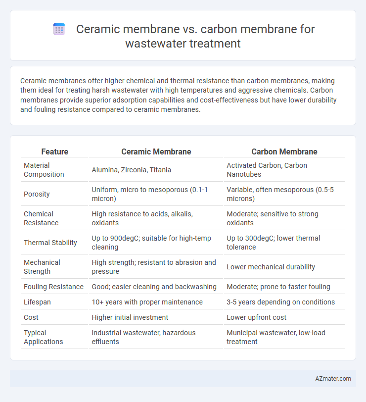 Ceramic membrane vs. carbon membrane for wastewater treatment - What is The Difference?