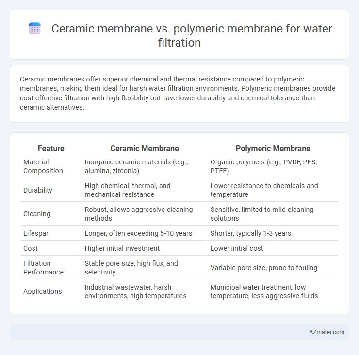 Ceramic membrane vs. polymeric membrane for water filtration - What is The Difference?