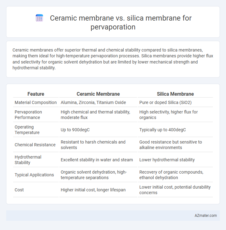 Ceramic membrane vs. silica membrane for pervaporation - What is The Difference?