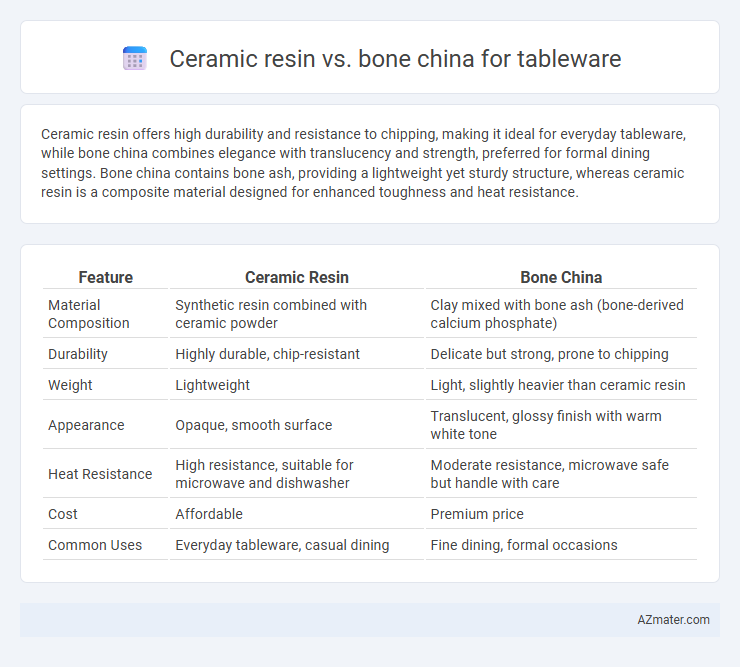 Ceramic resin vs. bone china for tableware - What is The Difference?