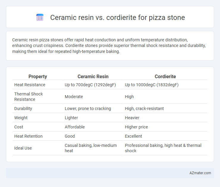 Ceramic resin vs. cordierite for pizza stone - What is The Difference?