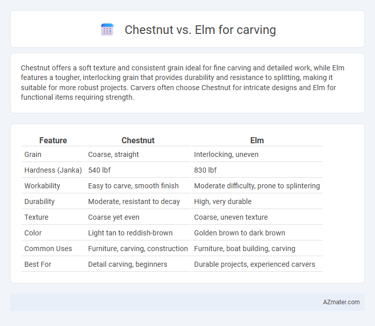 Chestnut vs. Elm for carving - What is The Difference?