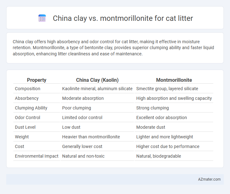 China clay vs. montmorillonite for cat litter - What is The Difference?