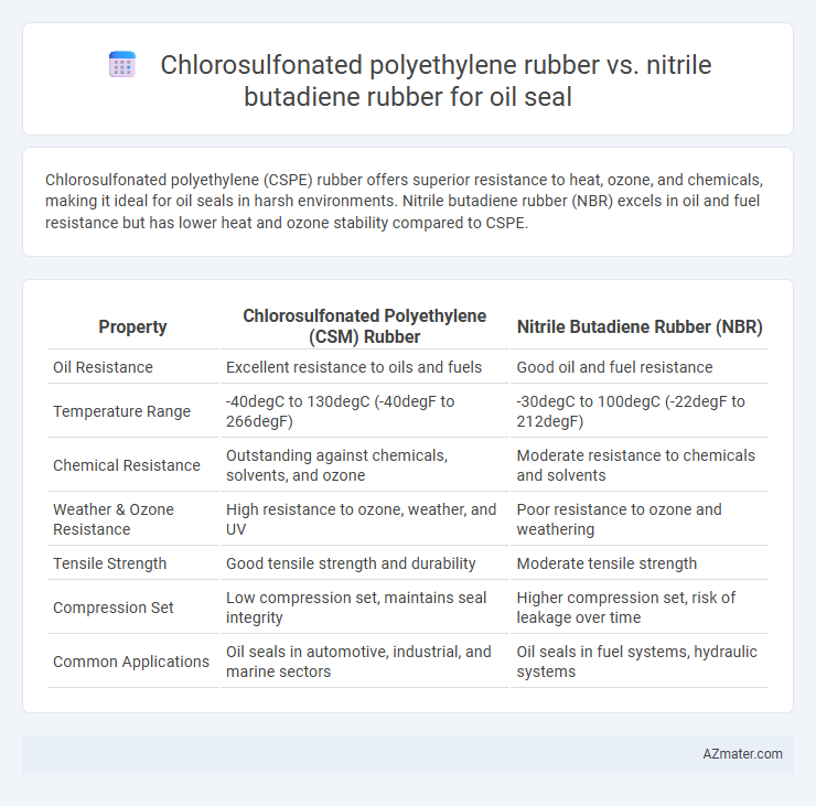 Chlorosulfonated polyethylene rubber vs. nitrile butadiene rubber for oil seal - What is The Difference?