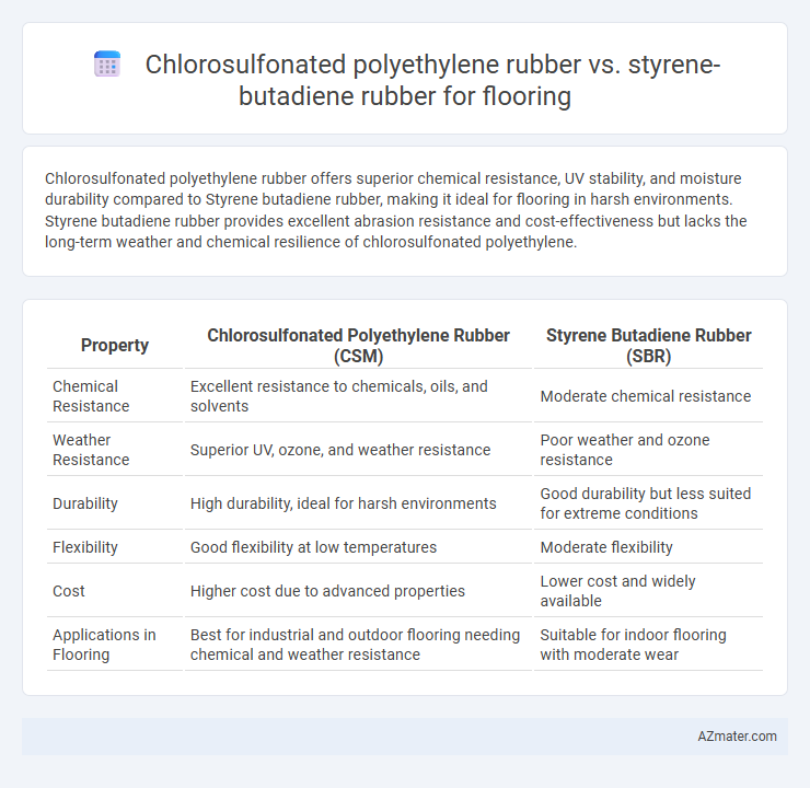 Chlorosulfonated polyethylene rubber vs. styrene-butadiene rubber for flooring - What is The Difference?