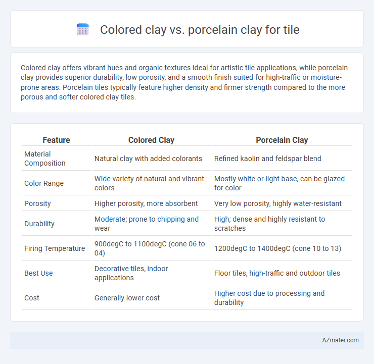 Colored clay vs. porcelain clay for tile - What is The Difference?