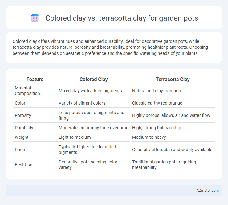 Colored clay vs. terracotta clay for garden pots - What is The Difference?