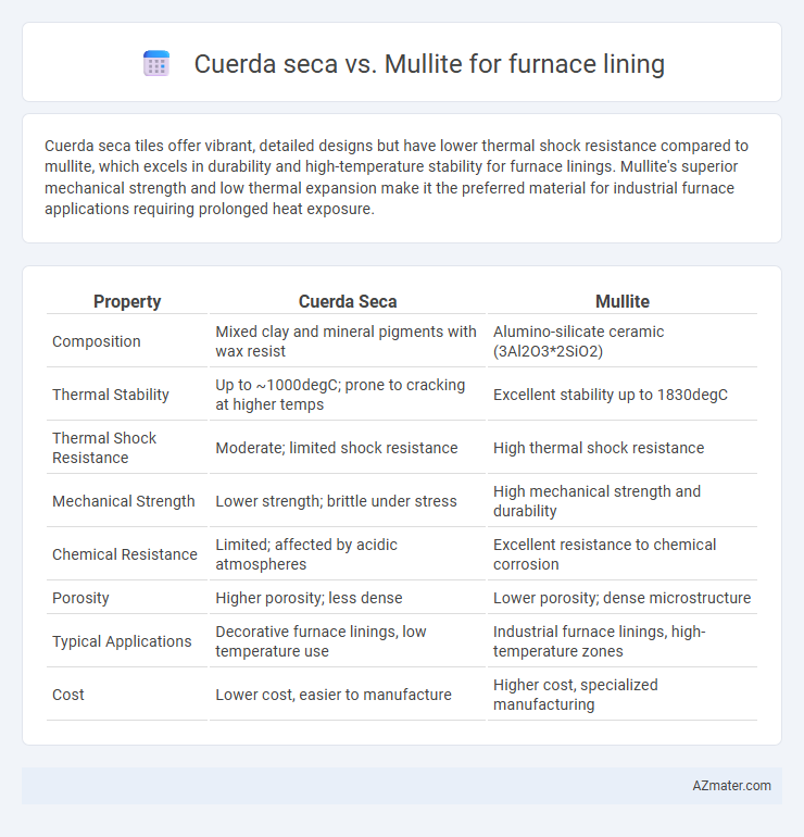 Cuerda seca vs. Mullite for furnace lining - What is The Difference?