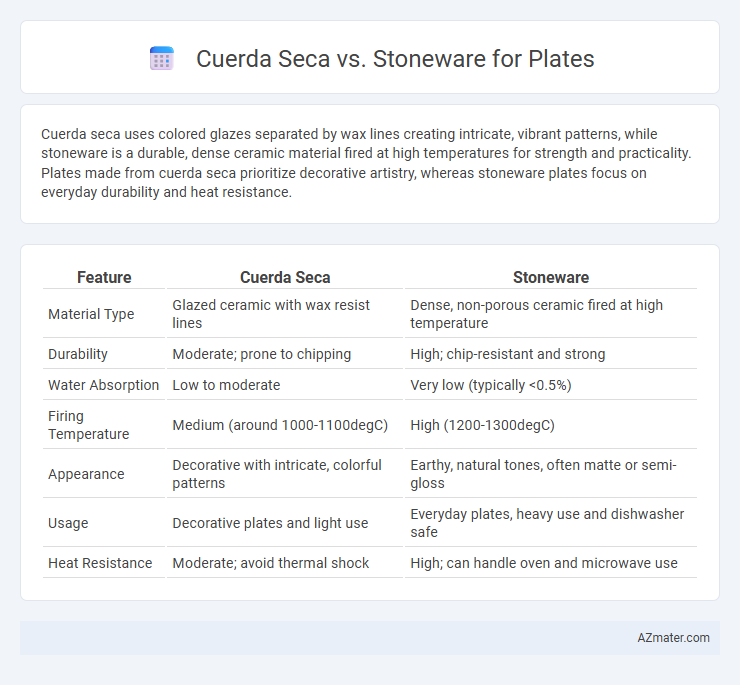 Cuerda Seca vs. Stoneware for Plates - What is The Difference?