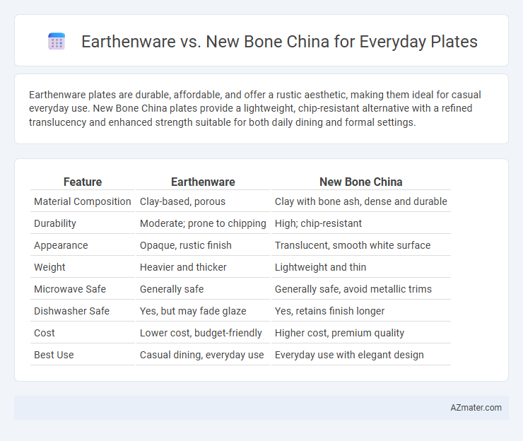 Earthenware vs. New Bone China for Everyday Plates - What is The Difference?
