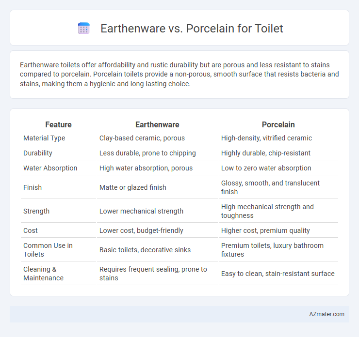 Earthenware vs. Porcelain for Toilet - What is The Difference?
