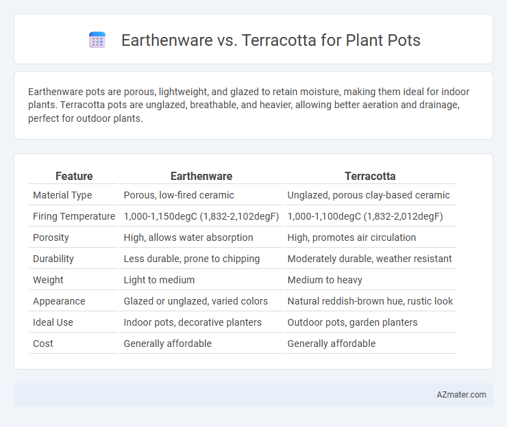 Earthenware vs. Terracotta for Plant Pots - What is The Difference?