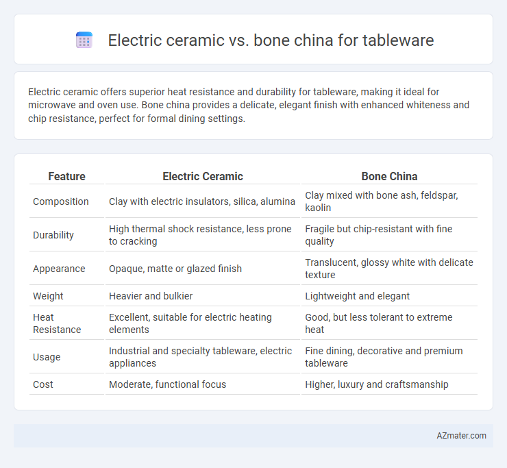 Electric ceramic vs. bone china for tableware - What is The Difference?