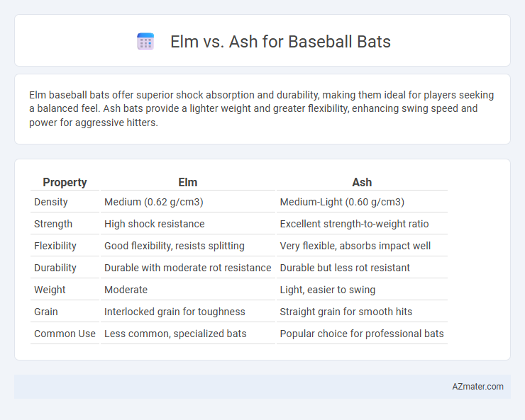 Elm vs. Ash for Baseball Bats - What is The Difference?