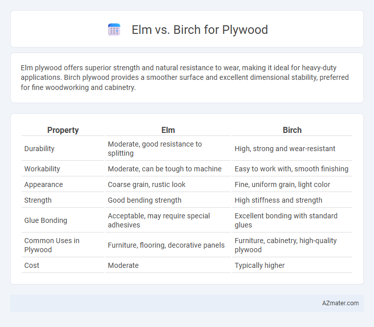 Elm vs. Birch for Plywood - What is The Difference?